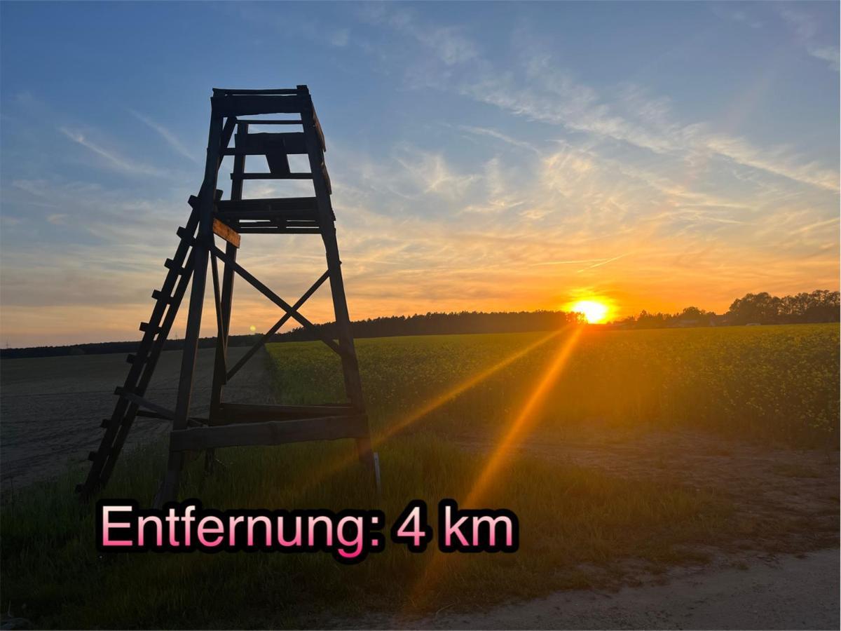 Wormis Apartment Heideblick Bei Luckau Екстер'єр фото
